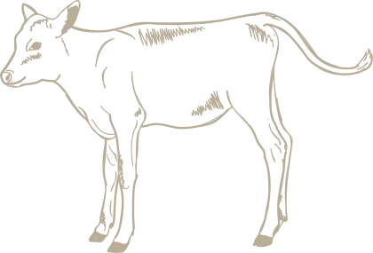 laendlekalb